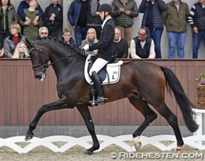 Andreas Helgstrand and Revolution at the 2017 Danish Young Horse Championships :: Photo © Ridehesten