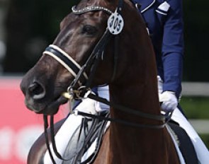 Capucine Noel's Soleil Noir vom Rosenhof