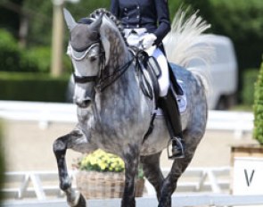 Anna Blomgren Rogers on Torveslettens Quattro (by Quaterback x Carano)
