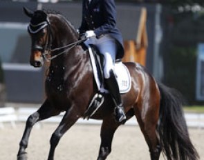 Mary Hanna made a great recovery on Boogie Woogie. In Compiegne last week the horse flipped the tongue over the bit and Hanna had to retire. In Roosendaal the pair was on song again and placed sixth