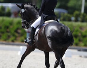 Suraya Hendrikx on Black Beauty