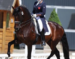 Vicki Thompson-Winfield and Jacaro at the 2017 CDI Roosendaal :: Photo © Astrid Appels