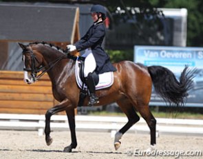Dindi van den Brink's Rulana is by the same show jumping sire Van Gogh as Sönke Rothenberger's Cosmo