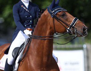 Daphne van Peperstraten on Cupido