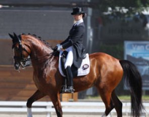Thamar Zweistra on her second Grand Prix ride Hexagons Denzel (by Zorion x Truppa)