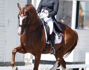 Thamar Zweistra on Leunis van Lieren's homebred Double Dutch (by Johnson x Rubiquil). The bay stallion got recently approved for the KWPN society. This eager beaver is very willing to work and gave almost too much in the piaffe