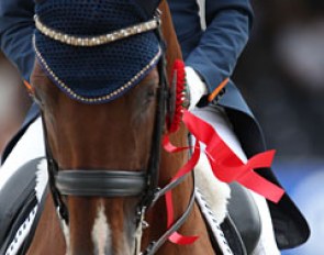 Cennin and his red ribbon