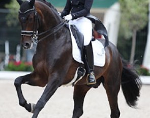 Morgan Barbancon on Sir Donnerhall II (by Sandro Hit x Donnerhall)