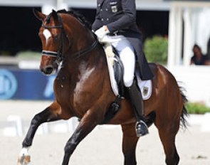 Hartwig Burfeind on the very sympathetic Fine Spirit. Pity the rider is too tall for this elegant horse