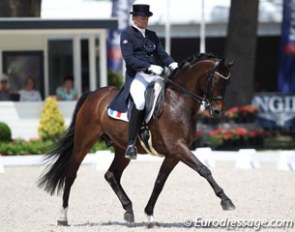Ludovic Henry and After You at the 2017 CDIO Rotterdam :: Photo © Astrid Appels