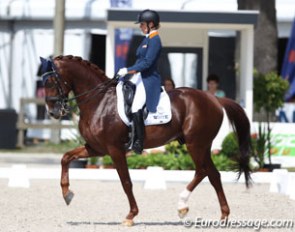 Madeleine Witte-Vrees on Cennin at the 2017 CDIO Rotterdam :: Photo © Astrid Appels