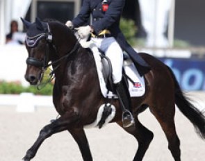 Daniel Watson on Amadeus