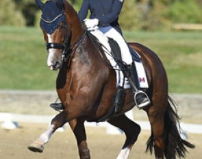 Brittany Fraser and All In at the 2017 CDI-W Saugerties :: Photo © Amy Riley