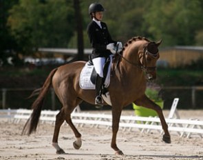 Jessica Michel-Botton and Dorian Grey de Hus at the 2017 French Young Horse Championships :: Photo © Rose Harang
