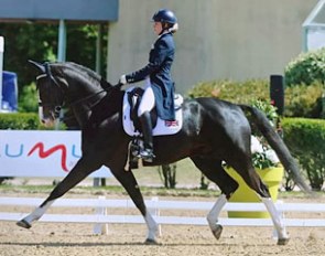 Abbie Newbury and Disneyland at the 2017 CDI Saumur