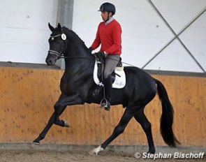 Flying Nymphenburg at the 2017 Schlieckau Suitability testing :: Photo © Stephan Bischoff