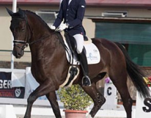 Jordi Cabre Munoz on Farron de Amtuna at the 2017 Spanish Young Horse Championships :: Photo © Lily Forado