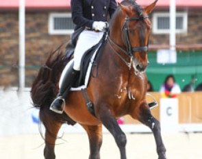 Joao Miguel Torrao and Equador at the 2017 CDI Segovia