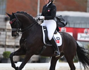 Camilla Andersen on her second ride, the talented Horgaard Stardust (by Stedinger). The black is a big mover but lacked flexion in the corners and on the voltes