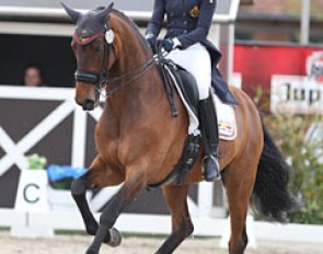 Belgian Delphine Beck on Zelion B