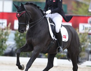 Belgian based Danish Olivia Lamm Nistrup on San Dior showing much progress in the self carriage