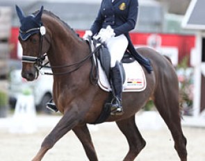 Belgian Lisa Morosini on Webbe. The talented Jazz is a good mover, but the contact with the bridle was very inconsistent with long reins and low hands, not steady on the withers. 