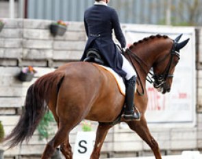 Joelle Peters on Dacar's Dream