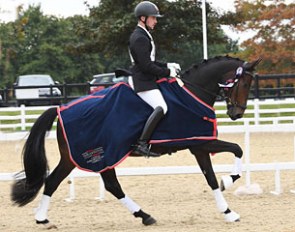 Greg Sims and Dante win the 4-year old division at the 2017 British Young Horse Championships :: Photo © Kevin Sparrow