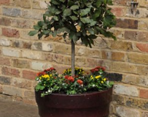 Flowerpot
