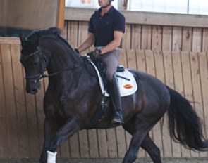 Fortuny in canter
