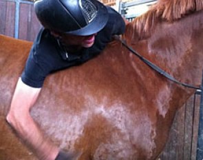 Warwick leaning over Javelin before getting on her