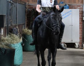 Johannes and Fortuny walking down the corridor. First time with a rider on top