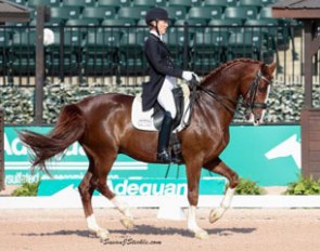 Arlene Page and Dr. House at the 2017 CDI Tryon :: Photo © Sue Stickle