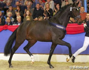 The Diamond Hit x Furst Heinrich