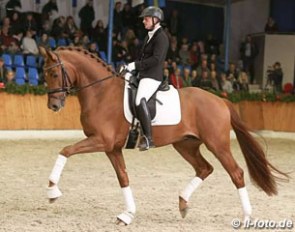 Anja Engelbart and Furst Jazz at the 2017 Paul Schockemohle Stallion Show in Vechta :: Photo © LL-foto