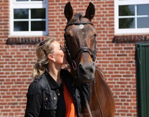 The 2017 Oldenburg Summer Meeting with 4-day Breeders Course - Don't Miss it!