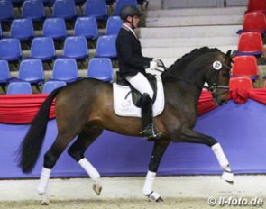 Heiko Klausing on Texas Tokio at the 2017 Oldenburg Saddle Licensing :: Photo © LL-foto