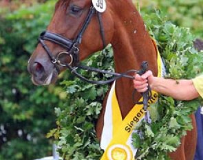 Daria (by Don Nobless x Rubin Royal), Champion of the 2017 Hanoverian Elite Mare Show :: Photo © LL-foto