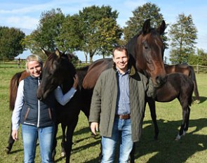 The customer advisors of the Hanoverian Verband will answer questions on origin, upbringing, course of life and training of the young sales horse any time