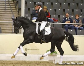 Test rider Philipp Hess on Bon Coeur