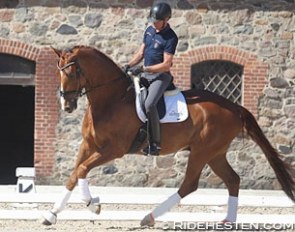Jan Christensen and Vichi Pax at the 2017 Danish WCYH selection trial in Vilhelmsborg :: Photo © Ridehesten