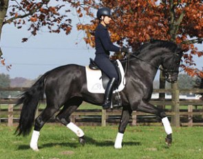 Stefanie Wolf on Arango