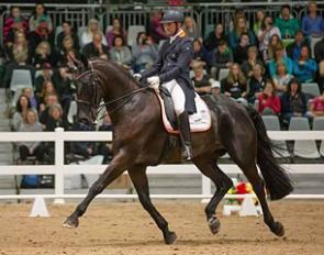 John Thompson and Antonello at the 2017 CDN Hamilton Equidays :: Photo © Debbie Stevens