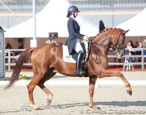 Stephanie de Frel and Beach Boy at the 2017 CDI Waregem :: Photo © Chris Coessens