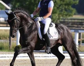 Rudolf Widmann and Revenant at the first German 2017 WCYH selection trial in Warendorf :: Photo © LL-foto