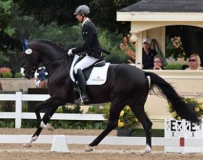 Michael Bragdell and Finery at the 2017 U.S. Young Horse Championships :: Photo © private