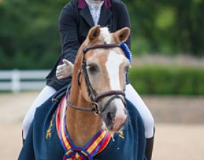 Suzannah Rogers and Adrenaline Rush SBF win the 2017 U.S. Pony Championships :: Photo © Sue Stickle