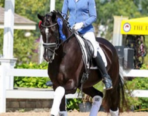 Alice Tarjan and Serenade MF at the 2017 U.S. Young Horse Championships :: Photo © Sue Stickle