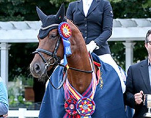 Andrea Woodard and Ravenna win the 6-year old division at the 2017 U.S. Young Horse Championships :: Photo © Sue Stickle