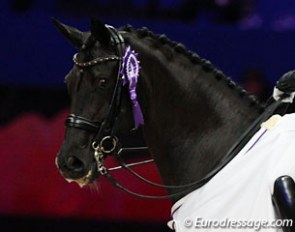 Weihegold in the prize giving